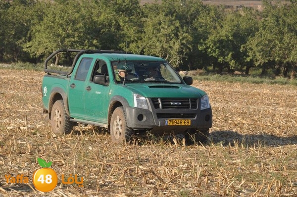 7amam lud monir 908 (68).JPG